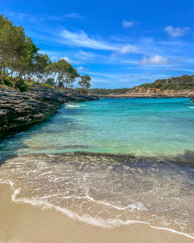 Calo des Borgit