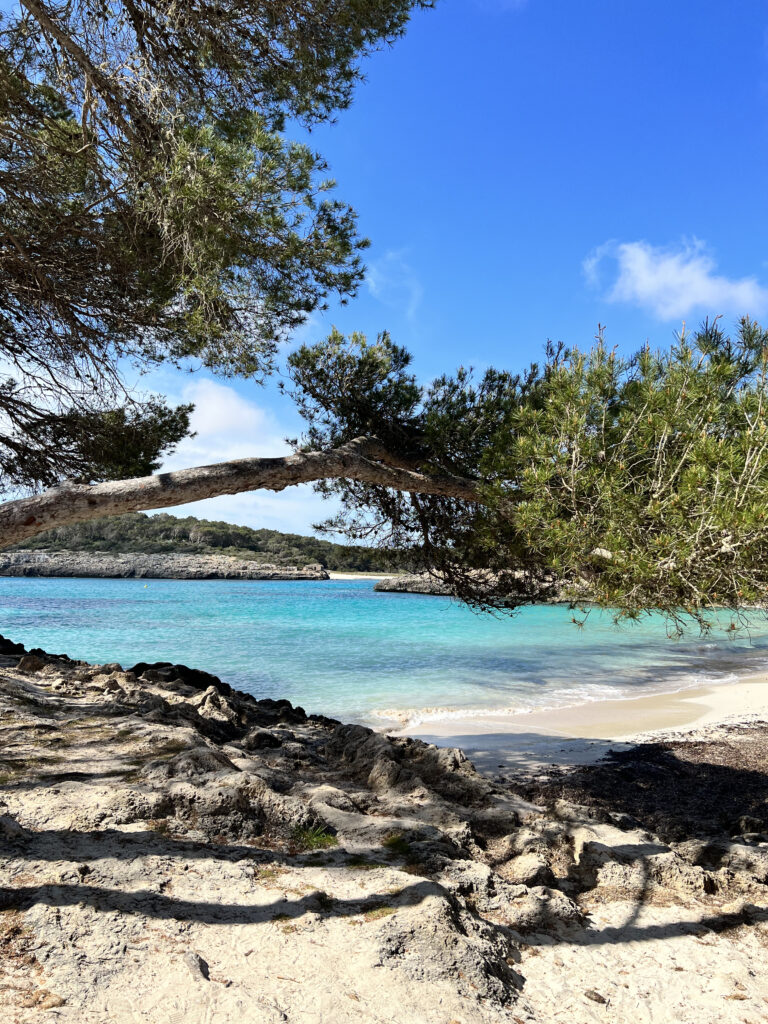 Cala de Mondrago