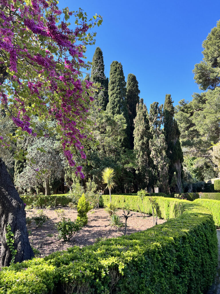 Village de Valdemossa