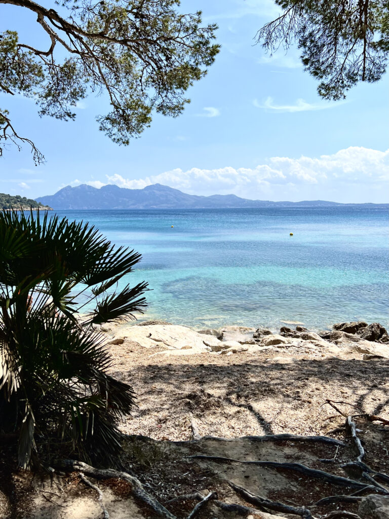 Plage de Formentor - Platja de Formentor