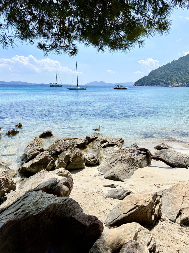 Plage de Formentor - Platja de Formentor