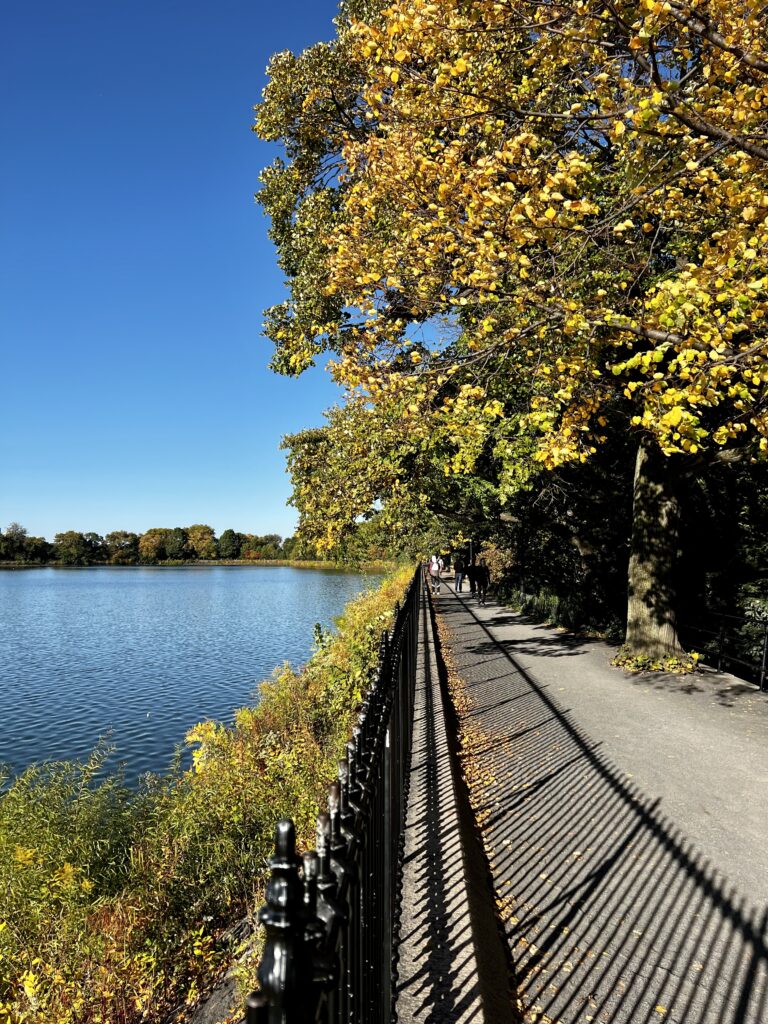 Central park
