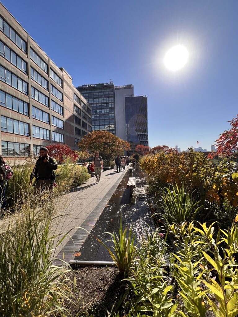 Balade sur la High Line de New York