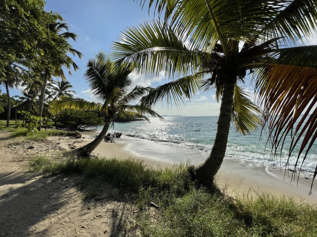 Plage de l'hôtel à Sainte Luce