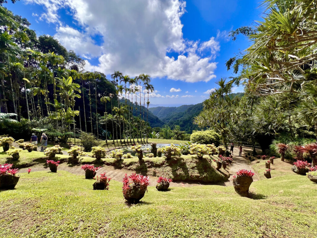 Panorama général du jardin de balata