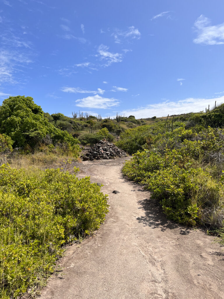Savane des petrifications