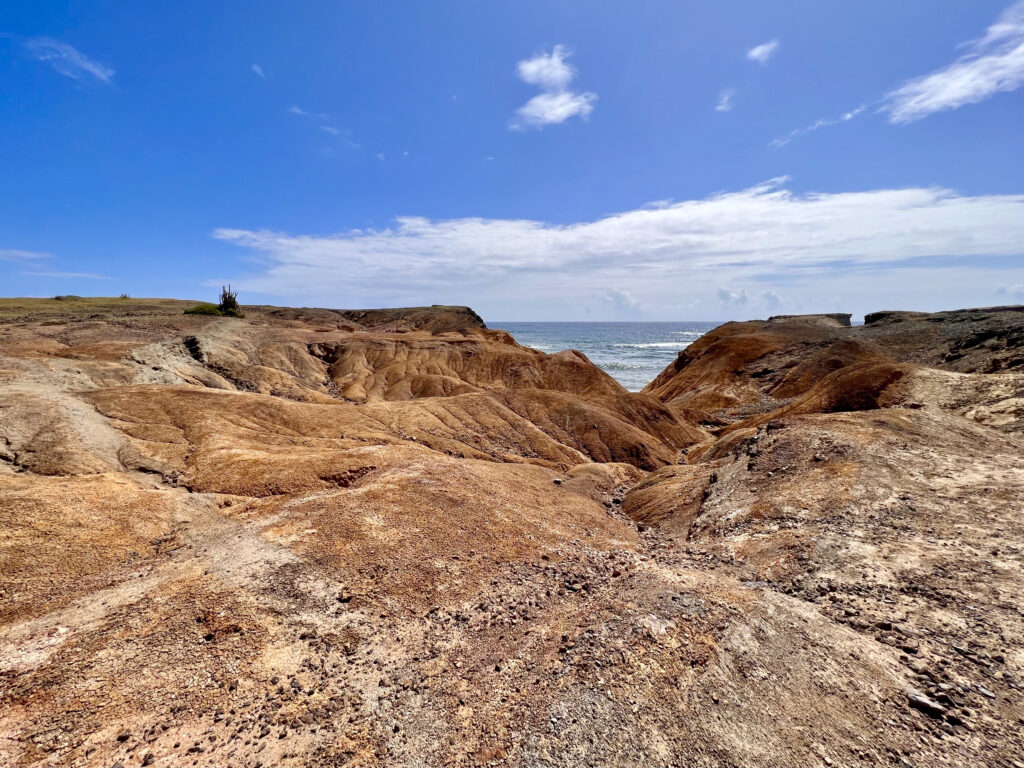 Savane des petrifications