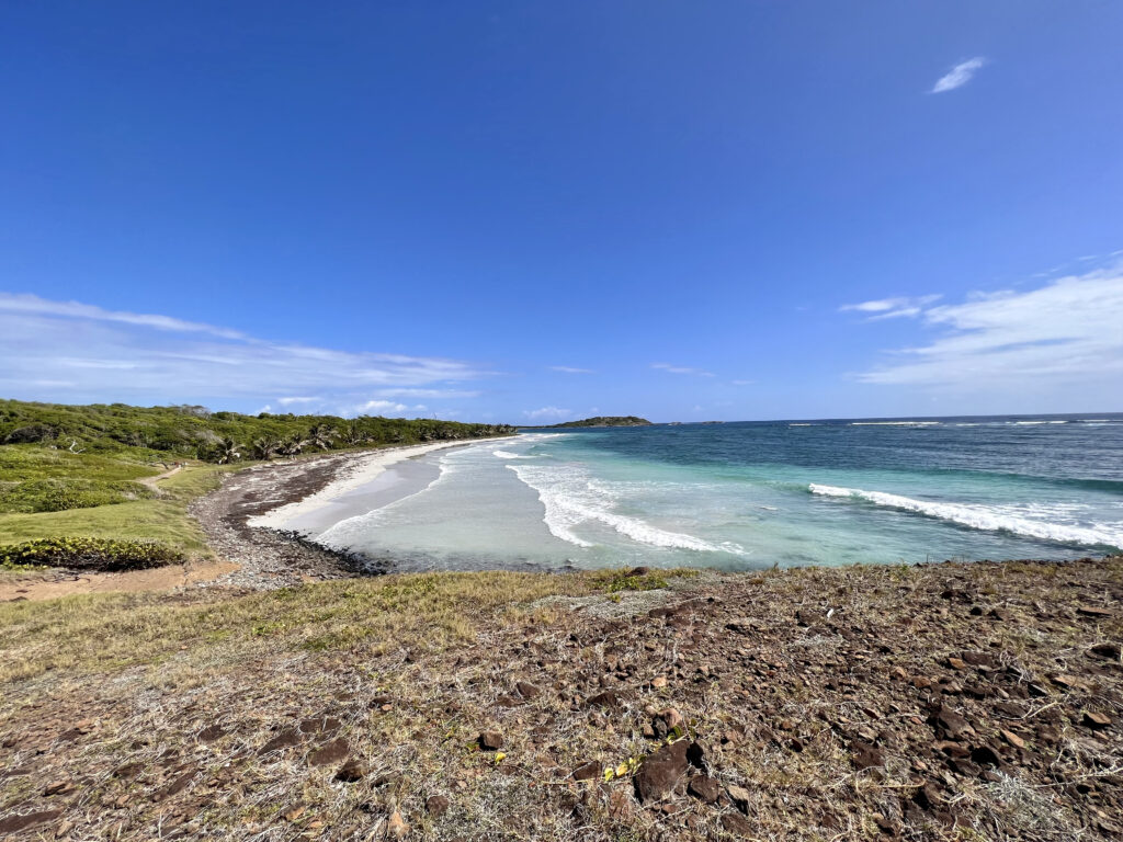 plage de l'anse trabaud