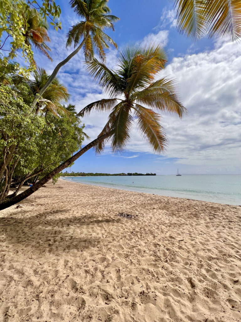 Plage des salines