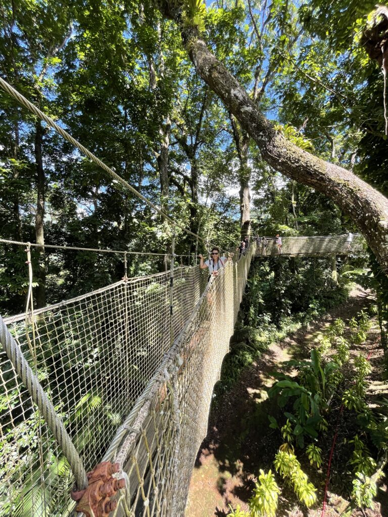 Parcours dans les arbres au jardin de Balata